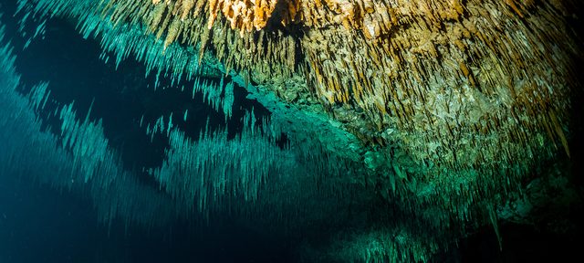 CCR Adv. Cave or Mine – DPV Diver