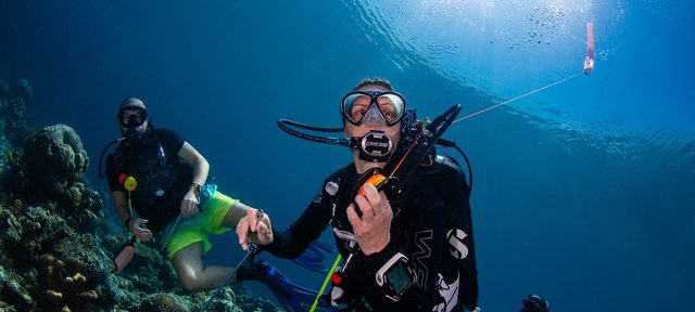 Drift Diver