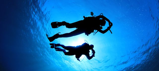 Search and Recovery Diver