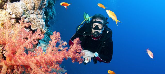 Recreational Trimix Diver