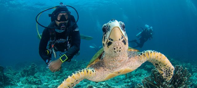 Elite SCUBA Diver