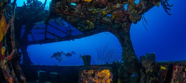 Elite Technical Wreck Diver