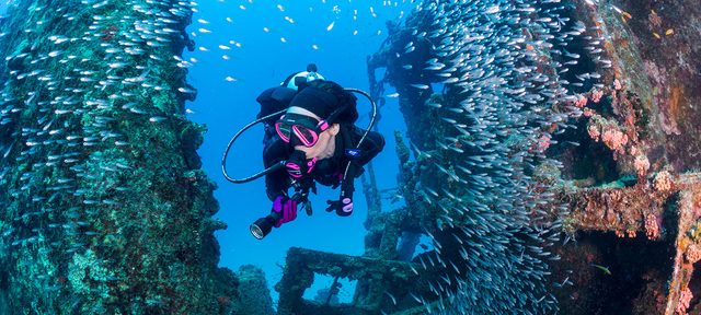Open Water Diver