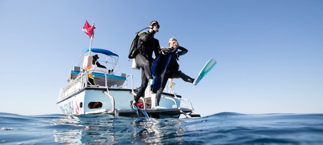 Boat Diver