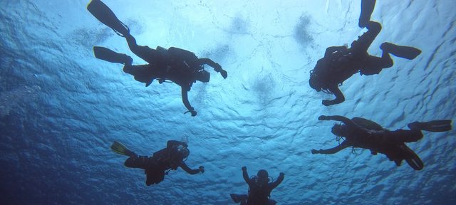Tek Essentials Diver
