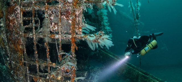 Technical Wreck Diver