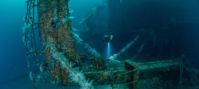 Tek Lite Wreck Diver